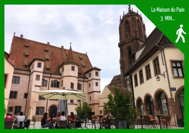 Aux Plaisirs D'Alsace Centre Historique Lägenhet Sélestat Exteriör bild