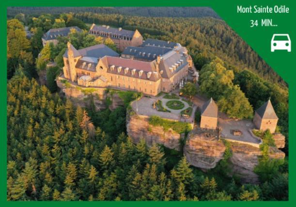 Aux Plaisirs D'Alsace Centre Historique Lägenhet Sélestat Exteriör bild