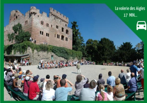Aux Plaisirs D'Alsace Centre Historique Lägenhet Sélestat Exteriör bild