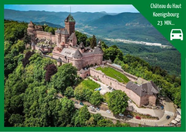 Aux Plaisirs D'Alsace Centre Historique Lägenhet Sélestat Exteriör bild